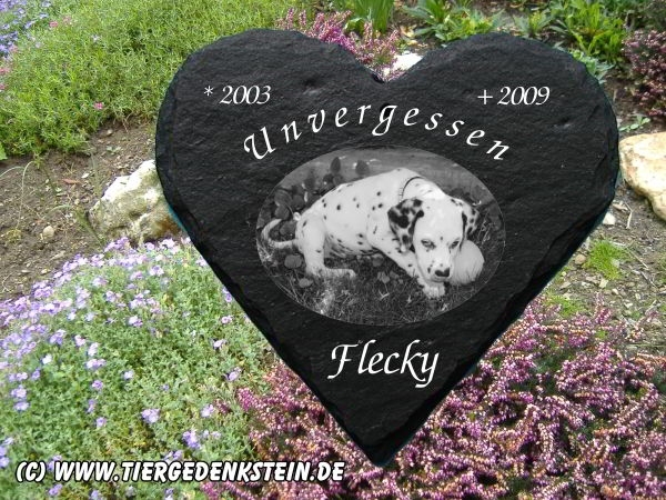 Tiergedenkstein in Herzform aus Schiefer extra stark